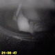 In this voyeur clip, a camera installed inside of a portable chemical toilet records a woman taking a semi-soft shit. About 5 minutes.